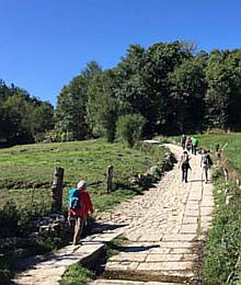 camino de santiago de compostela - hiking spain.jpg